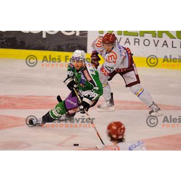 Petr Sachl, Robert Sabolic in action during Ice hockey match HDD Tilia Olimpija - Acroni Jesenice in 2nd game of the final of the Slovenian ice hockey league, Tivoli Hall, 03.04.2011 
