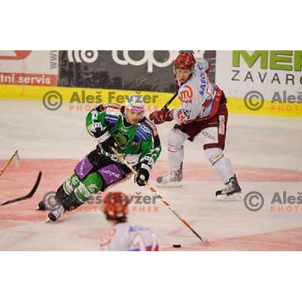 John Hughes, Robert Sabolic in action during Ice hockey match HDD Tilia Olimpija - Acroni Jesenice in 2nd game of the final of the Slovenian ice hockey league, Tivoli Hall, 03.04.2011 