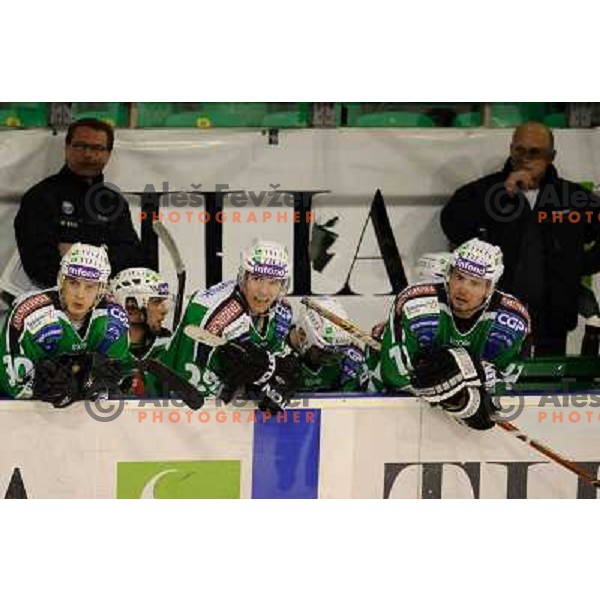 Olimpija bench in action during Ice hockey match HDD Tilia Olimpija - Acroni Jesenice in 2nd game of the final of the Slovenian ice hockey league, Tivoli Hall, 03.04.2011 