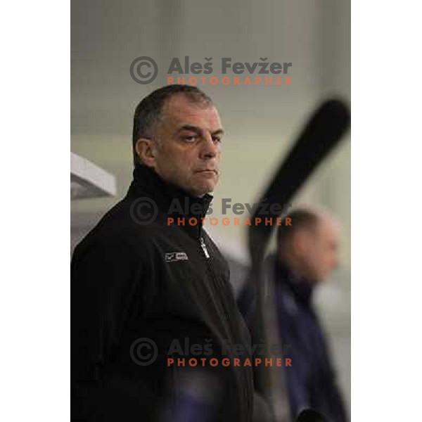 Matjaz Kopitar, head coach of Slovenia in action during friendly ice- hockey match Slovenia-Kazakhstan before World Championships, played in Hala Tivoli, Ljubljana, Slovenia on April 12, 2011 