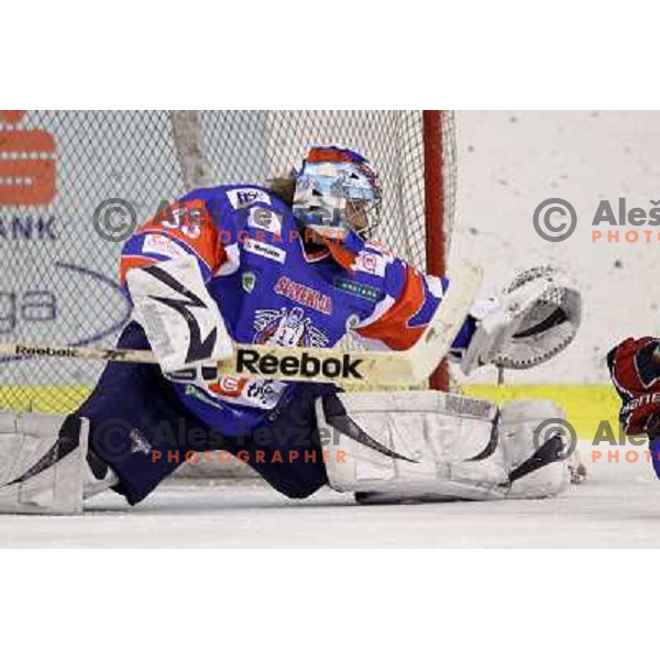  Robert Kristan of Slovenia in action during friendly ice- hockey match Slovenia-Kazakhstan before World Championships, played in Hala Tivoli, Ljubljana, Slovenia on April 12, 2011 