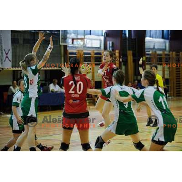Alja Jankovic in action during handball match Krim - Krka, last game of the season, played in Galjevica, Ljubljana, Slovenia on May 14, 2011 