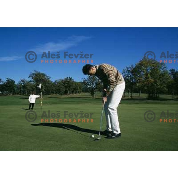 Lipica 8th green