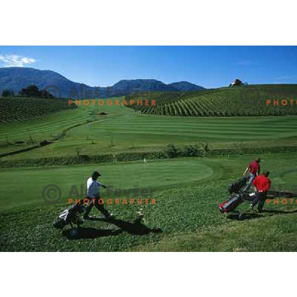 Zlati Gric, hole 3