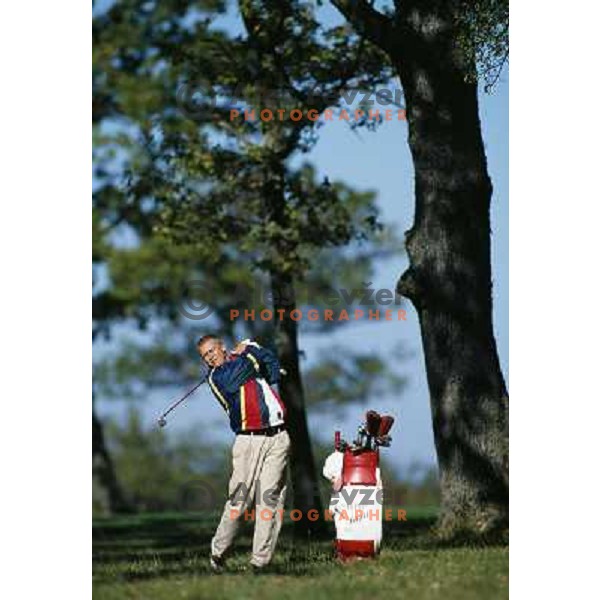 Lipica, hole8