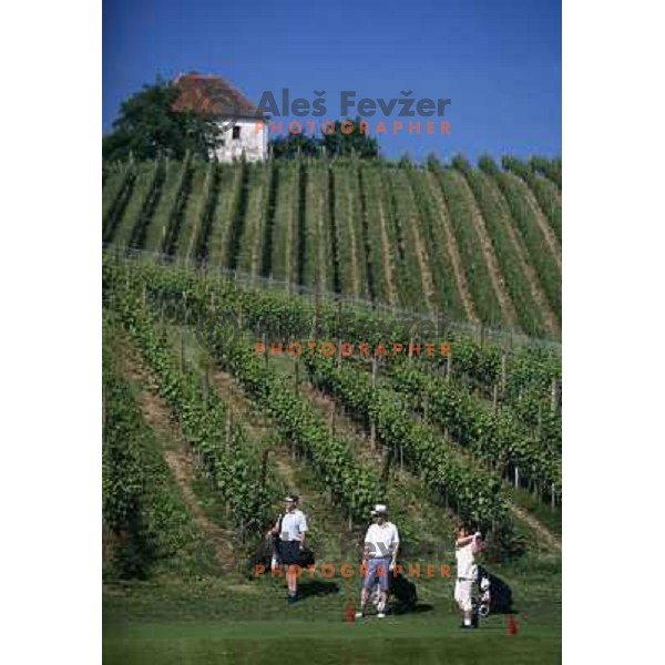 Zlati Gric , hole 1