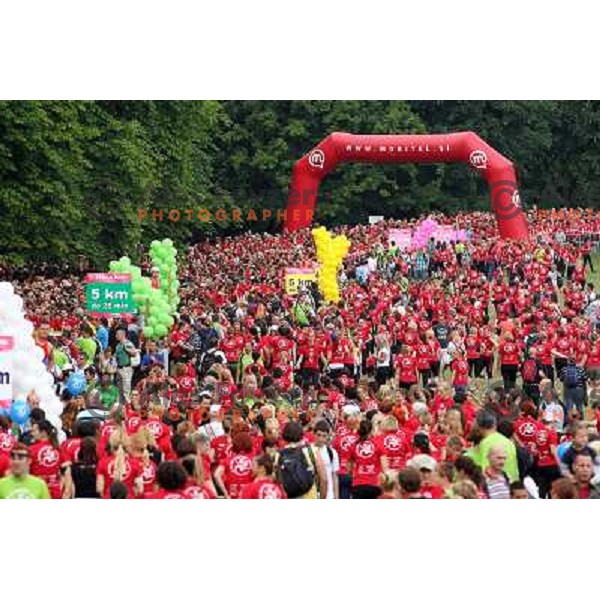 6. DM run for women and Oskar\'s run for kids in Tivoli park, Ljubljana, Slovenia on June 4,2011 