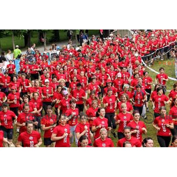 6. DM run for women and Oskar\'s run for kids in Tivoli park, Ljubljana, Slovenia on June 4,2011 