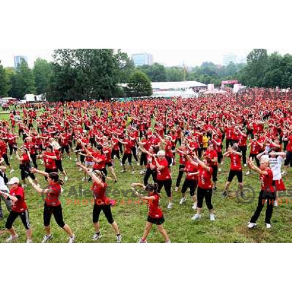 6. DM run for women and Oskar\'s run for kids in Tivoli park, Ljubljana, Slovenia on June 4,2011 