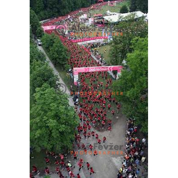 6. DM run for women and Oskar\'s run for kids in Tivoli park, Ljubljana, Slovenia on June 4,2011 