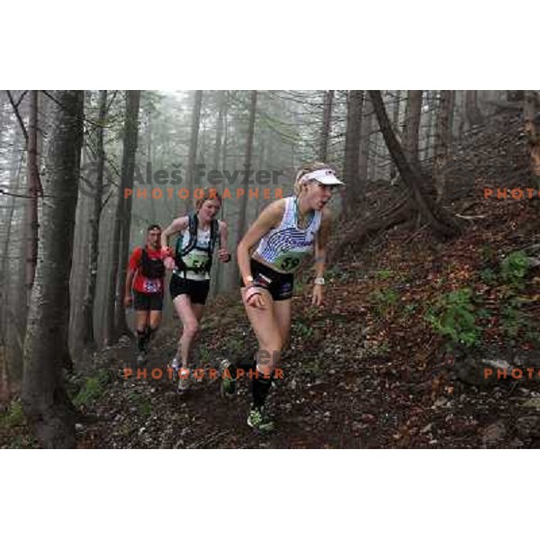 400 runners from 21 countries took part at 8th World Long Distance Mountain Running Challenge in Slovenia on June 18, 2011. Start in Petrovo Brdo, finish in Podbrdo, 37.5 km with total of 5300 meters of climbs and descents 