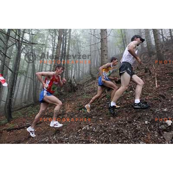 Mitja Kosovelj of Slovenia, winner of 8th World Long Distance Mountain Running Challenge in Slovenia on June 18, 2011. Start in Petrovo Brdo, finish in Podbrdo, 37.5 km with total of 5300 meters of climbs and descents 