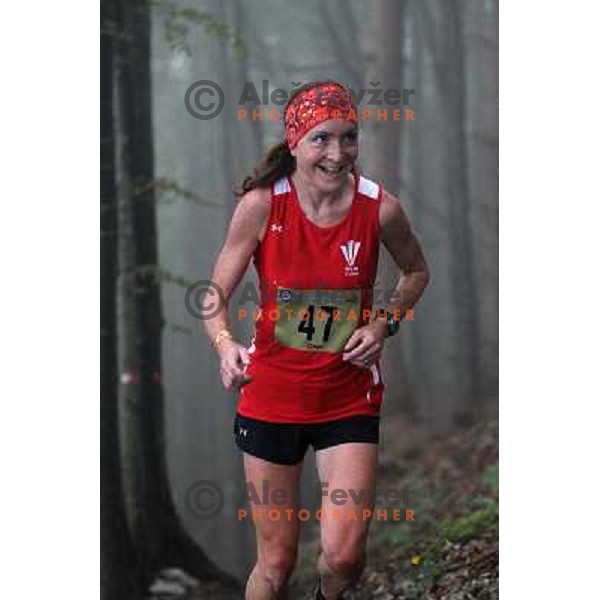 400 runners from 21 countries took part at 8th World Long Distance Mountain Running Challenge in Slovenia on June 18, 2011. Start in Petrovo Brdo, finish in Podbrdo, 37.5 km with total of 5300 meters of climbs and descents 