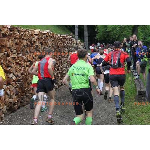 400 runners from 21 countries took part at 8th World Long Distance Mountain Running Challenge in Slovenia on June 18, 2011. Start in Petrovo Brdo, finish in Podbrdo, 37.5 km with total of 5300 meters of climbs and descents 