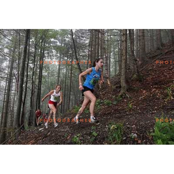 400 runners from 21 countries took part at 8th World Long Distance Mountain Running Challenge in Slovenia on June 18, 2011. Start in Petrovo Brdo, finish in Podbrdo, 37.5 km with total of 5300 meters of climbs and descents 