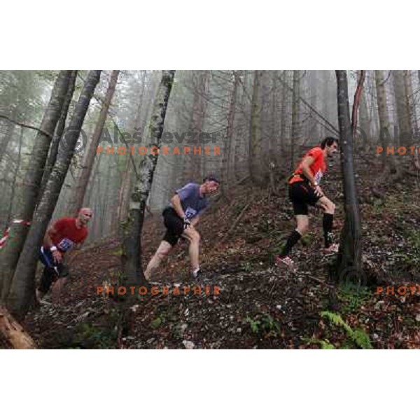 400 runners from 21 countries took part at 8th World Long Distance Mountain Running Challenge in Slovenia on June 18, 2011. Start in Petrovo Brdo, finish in Podbrdo, 37.5 km with total of 5300 meters of climbs and descents 