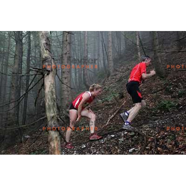 400 runners from 21 countries took part at 8th World Long Distance Mountain Running Challenge in Slovenia on June 18, 2011. Start in Petrovo Brdo, finish in Podbrdo, 37.5 km with total of 5300 meters of climbs and descents 