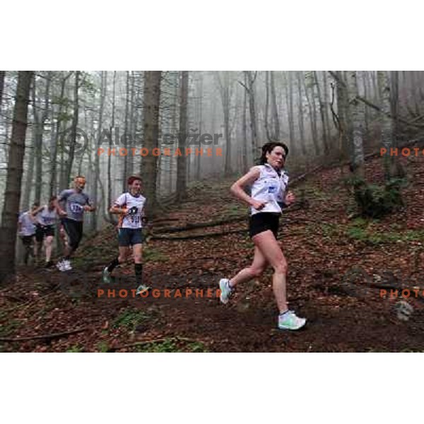 400 runners from 21 countries took part at 8th World Long Distance Mountain Running Challenge in Slovenia on June 18, 2011. Start in Petrovo Brdo, finish in Podbrdo, 37.5 km with total of 5300 meters of climbs and descents 