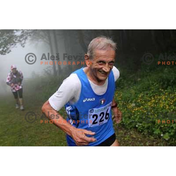 400 runners from 21 countries took part at 8th World Long Distance Mountain Running Challenge in Slovenia on June 18, 2011. Start in Petrovo Brdo, finish in Podbrdo, 37.5 km with total of 5300 meters of climbs and descents 