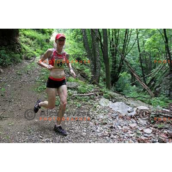 400 runners from 21 countries took part at 8th World Long Distance Mountain Running Challenge in Slovenia on June 18, 2011. Start in Petrovo Brdo, finish in Podbrdo, 37.5 km with total of 5300 meters of climbs and descents 