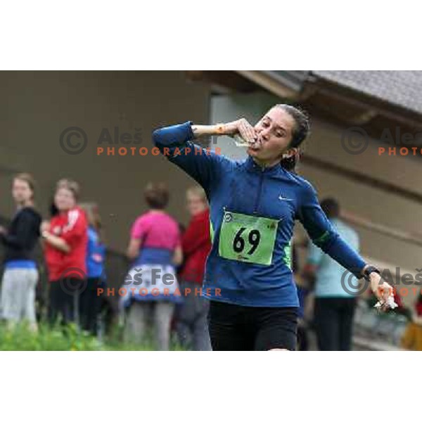 400 runners from 21 countries took part at 8th World Long Distance Mountain Running Challenge in Slovenia on June 18, 2011. Start in Petrovo Brdo, finish in Podbrdo, 37.5 km with total of 5300 meters of climbs and descents 