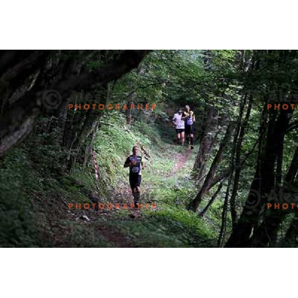 400 runners from 21 countries took part at 8th World Long Distance Mountain Running Challenge in Slovenia on June 18, 2011. Start in Petrovo Brdo, finish in Podbrdo, 37.5 km with total of 5300 meters of climbs and descents 