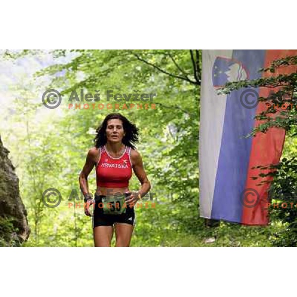 400 runners from 21 countries took part at 8th World Long Distance Mountain Running Challenge in Slovenia on June 18, 2011. Start in Petrovo Brdo, finish in Podbrdo, 37.5 km with total of 5300 meters of climbs and descents 