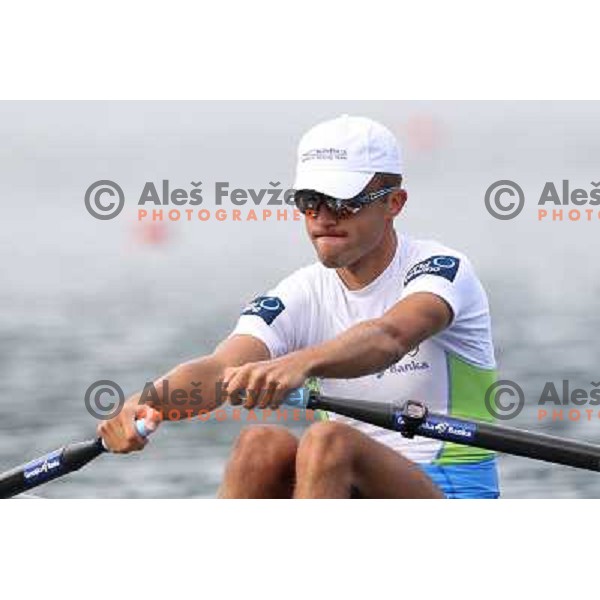 Rajko Hrvat of Slovenia in action during first day of competition at 2011 World Rowing Championships at Bled, Slovenia on August 28,2011 