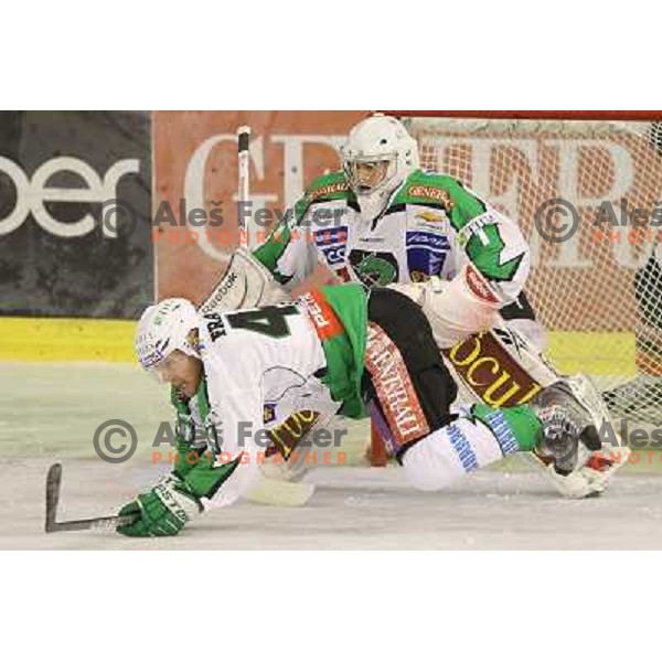 action during ice-hockey match Tilia Olimpija- EC Moser Medical Graz in round 2 of EBEL league, played in Hala Tivoli, Ljubljana, Slovenia on September 15,2011 