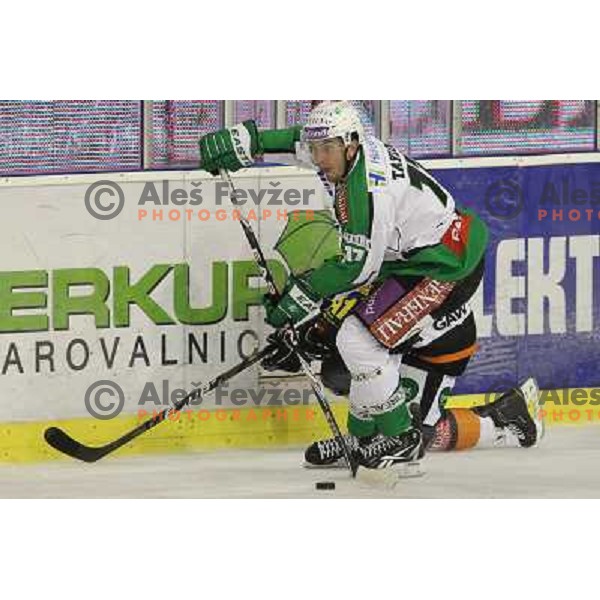 Taylor in action during ice-hockey match Tilia Olimpija- EC Moser Medical Graz in round 2 of EBEL league, played in Hala Tivoli, Ljubljana, Slovenia on September 15,2011 