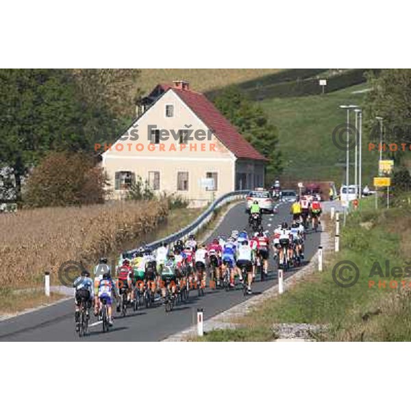 2. EKO Maraton Maribor with more than 1000 cyclists on two courses (70 km and 114 km) enjoy superb weather on roads leading from start in Maribor through Kungota- Jurij- Austria- Radlje ob Dravi- Ribnica-Lovrenc- Ruse and back to Maribor, Slovenia on Sept