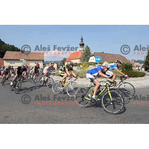 2. EKO Maraton Maribor with more than 1000 cyclists on two courses (70 km and 114 km) enjoy superb weather on roads leading from start in Maribor through Kungota- Jurij- Austria- Radlje ob Dravi- Ribnica-Lovrenc- Ruse and back to Maribor, Slovenia on Sept