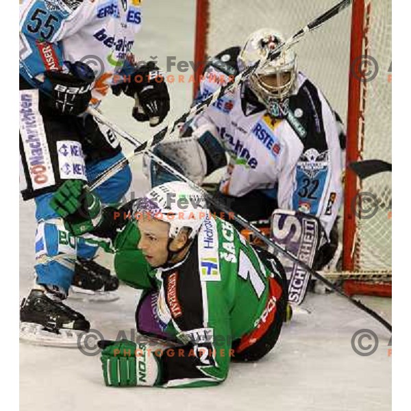 Petr Sachl of Tilia Olimpija in action during EBEL league regular season ice-hockey game in round 15 between Tilia Olimpija and EHC Liwset Linz, played in Hala Tivoli, Ljubljana, Slovenia on October 25, 2011 