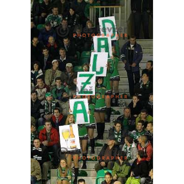 of Tilia Olimpija in action during EBEL league regular season ice-hockey game in round 15 between Tilia Olimpija and EHC Liwset Linz, played in Hala Tivoli, Ljubljana, Slovenia on October 25, 2011 