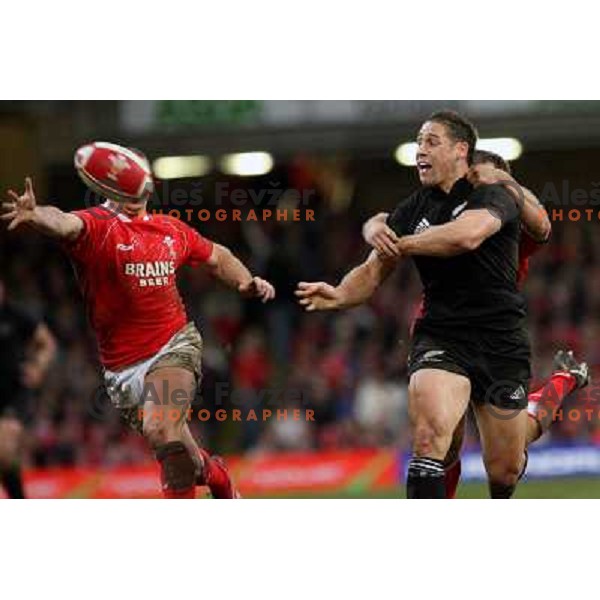 Luke McAlister at rugby match between Wales and New Zealand at Millennium Stadium, Cardiff, Wales on November 25, 2006. New Zealand won 45:10