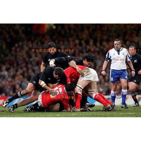 Battle for the ball in ruck at rugby match between Wales and New Zealand at Millennium Stadium, Cardiff, Wales on November 25, 2006. New Zealand won 45:10