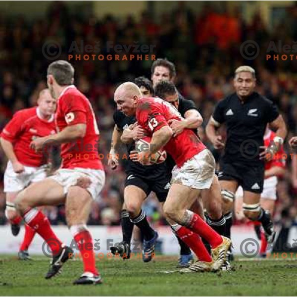Tom Shanklin