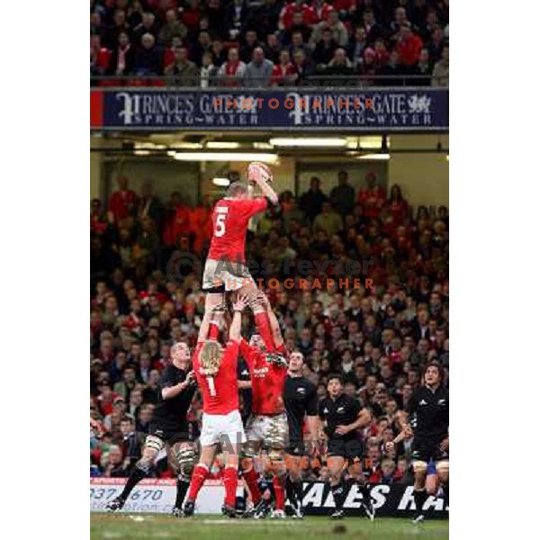 Ian Evans catches the ball at rugby match between Wales and New Zealand at Millennium Stadium, Cardiff, Wales on November 25, 2006. New Zealand won 45:10
