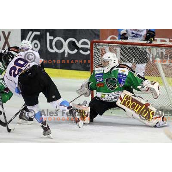 Jean Philippe Lamoureux of Tilia Olimpija in action during EBEL league regular season game 19 between Tilia Olimpija- Sapa Fehervar AV 19, played in Hala Tivoli, Ljubljana, Slovenia on November 4,2011 