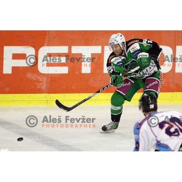 Matej Hocevar of Tilia Olimpija in action during EBEL league regular season game 19 between Tilia Olimpija- Sapa Fehervar AV 19, played in Hala Tivoli, Ljubljana, Slovenia on November 4,2011 