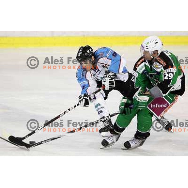 Anze Ropret of Tilia Olimpija , Derek Ryan in action during EBEL league regular season game 19 between Tilia Olimpija- Sapa Fehervar AV 19, played in Hala Tivoli, Ljubljana, Slovenia on November 4,2011 