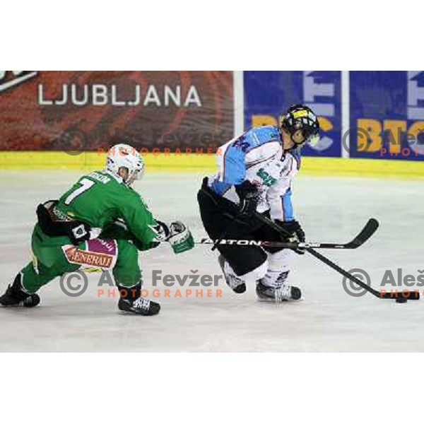 Domen Vedlin of Tilia Olimpija in action during EBEL league regular season game 19 between Tilia Olimpija- Sapa Fehervar AV 19, played in Hala Tivoli, Ljubljana, Slovenia on November 4,2011 