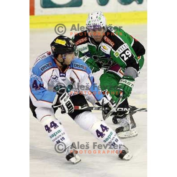 Anze Ropret of Tilia Olimpija in action during EBEL league regular season game 19 between Tilia Olimpija- Sapa Fehervar AV 19, played in Hala Tivoli, Ljubljana, Slovenia on November 4,2011 