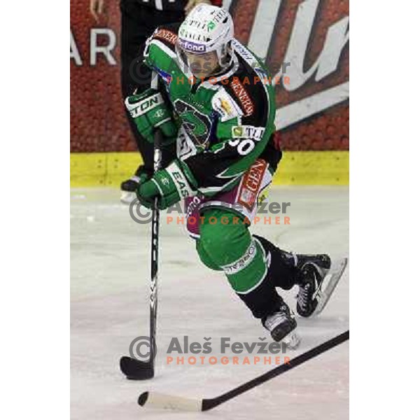 Erik Pance of Tilia Olimpija in action during EBEL league regular season game 19 between Tilia Olimpija- Sapa Fehervar AV 19, played in Hala Tivoli, Ljubljana, Slovenia on November 4,2011 