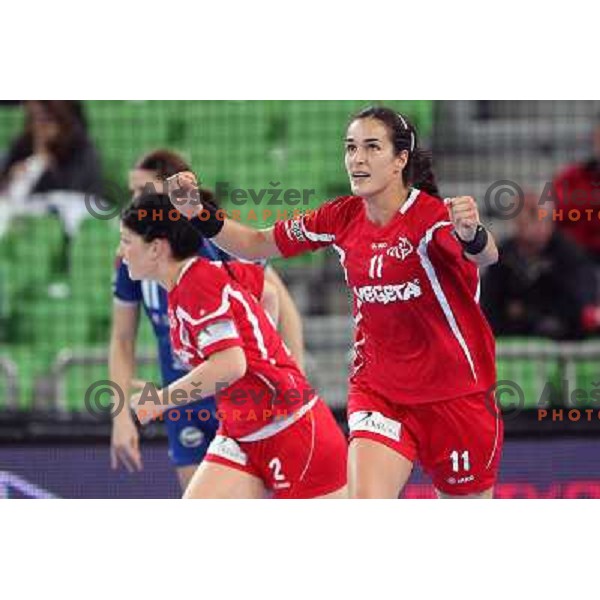 Damjanovic of Podravka Vegeta in action during EHF Champions leaguel game 5 between Krim Mercator (Slovenia) and Podravka Vegeta (Croatia) in Stozice Sports Hall, Ljubljana, Slovenia on November 5, 2011 