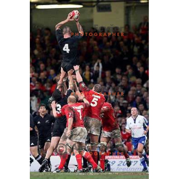 Keith Robinson catching the ball in line-out at rugby match between Wales and New Zealand at Millennium Stadium, Cardiff, Wales on November 25, 2006. New Zealand won 45:10