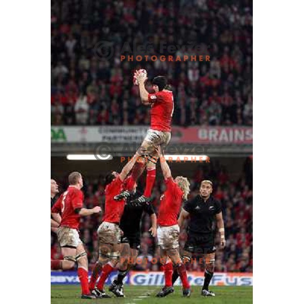 Ian Gough at rugby match between Wales and New Zealand at Millennium Stadium, Cardiff, Wales on November 25, 2006. New Zealand won 45:10