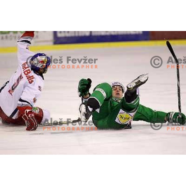 Scott Hotham of Tilia Olimpija in action durnig EBEL league regular season game 2o between Tilia Olimpija and Red Bull Salzburg in Hala Tivoli, Ljubljana, Slovenia on November 6,2011 