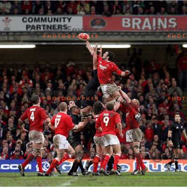 Ian Evans tries to catch the ball at rugby match between Wales and New Zealand at Millennium Stadium, Cardiff, Wales on November 25, 2006. New Zealand won 45:10