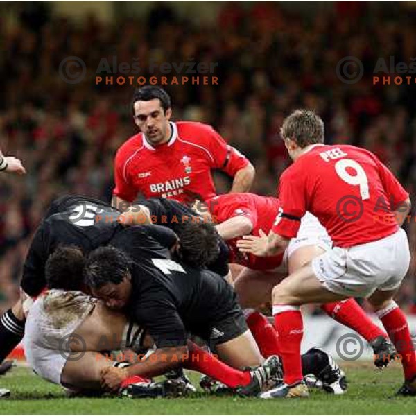 All Blacks stops Welsh attack at rugby match between Wales and New Zealand at Millennium Stadium, Cardiff, Wales on November 25, 2006. New Zealand won 45:10
